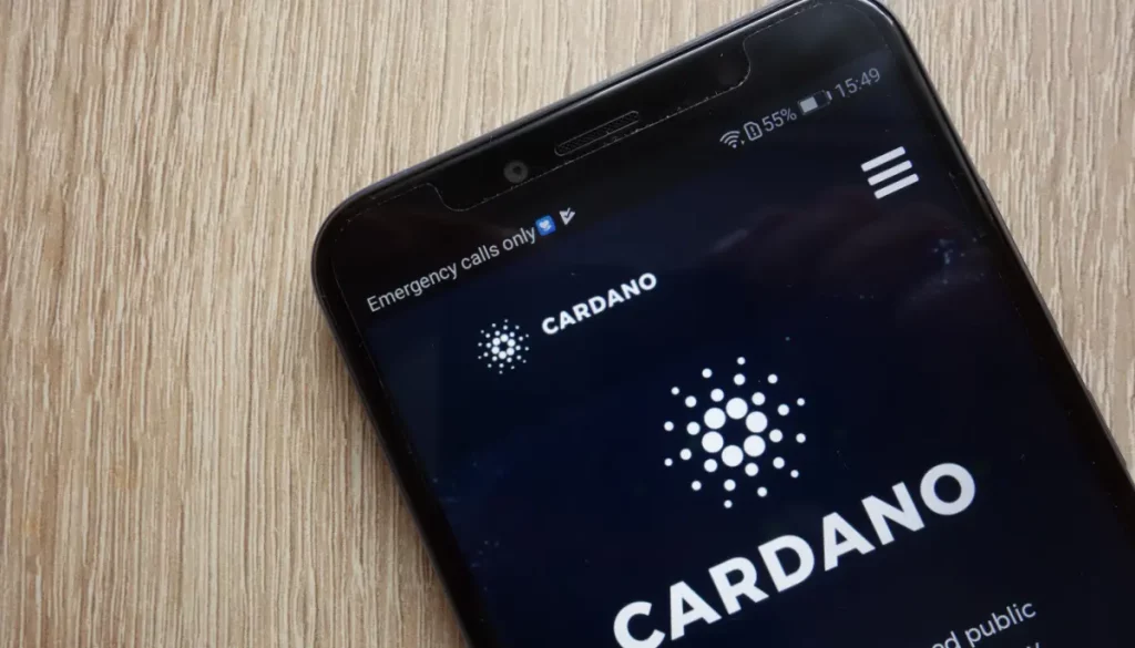 Cardano Ontwikkelaar Hint Naar Veelbelovende Samenwerking.jpg