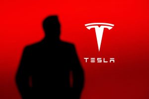 Musk Scaled.jpeg