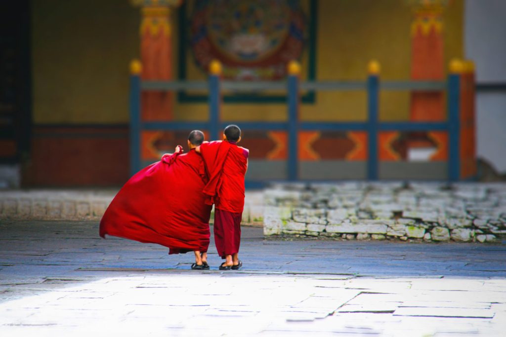 Adobe Stock Scaled.jpeg