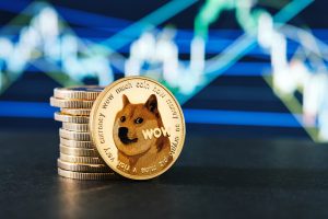 DOGE COIN Scaled.jpeg