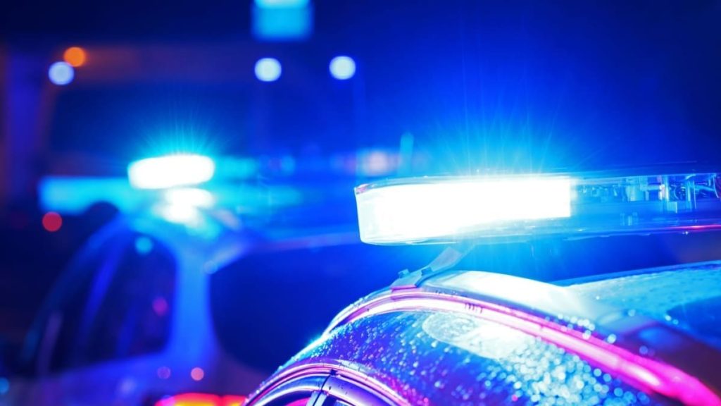 Bitcoin Politie E1762883900369.jpg