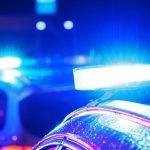 Bitcoin Politie E1762883900369.jpg